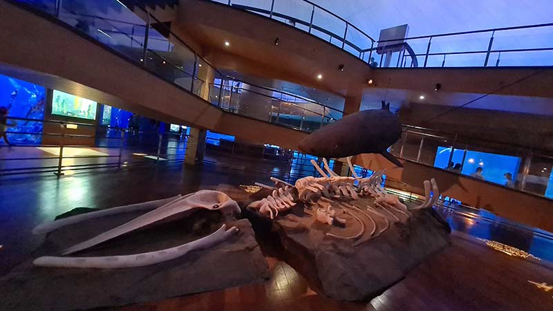 aquarium valence