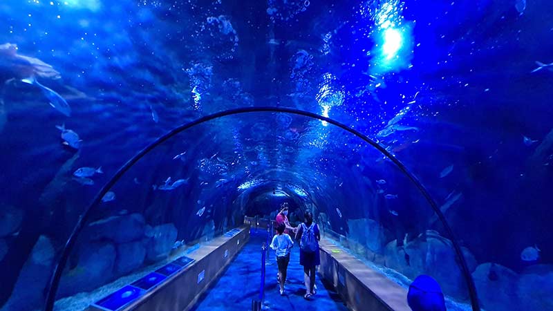 aquarium valence