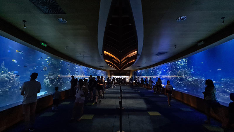 aquarium valence