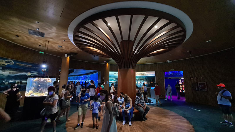 aquarium valence