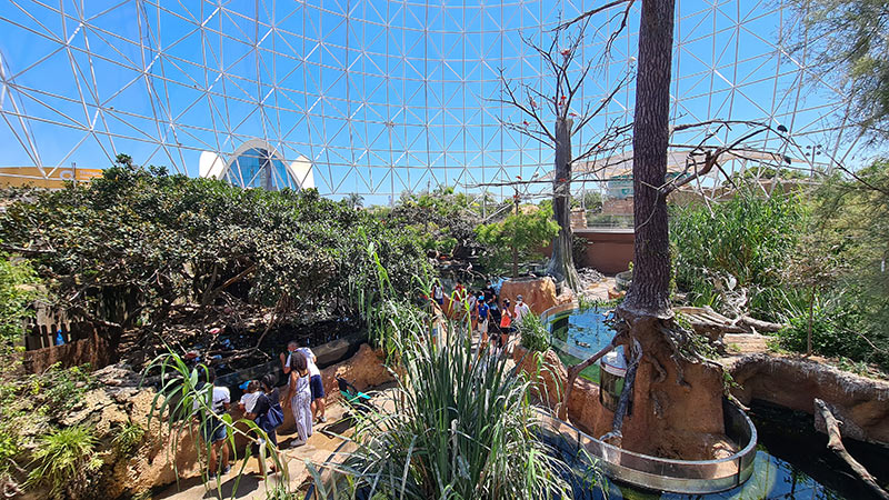 billet aquarium valencia