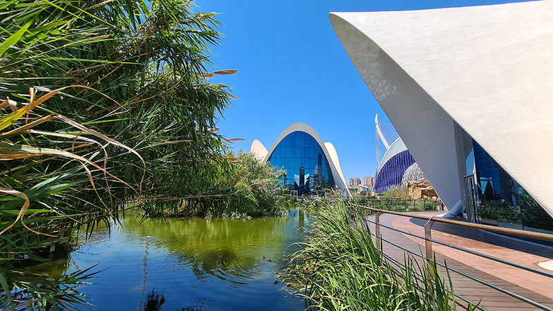 aquarium valence