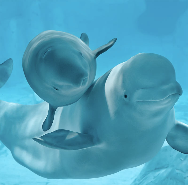 aquarium valence