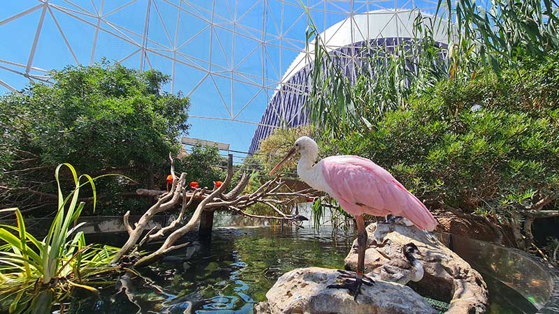 aquarium valence