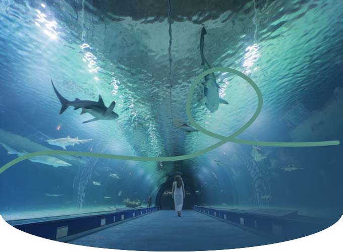billet aquarium valencia