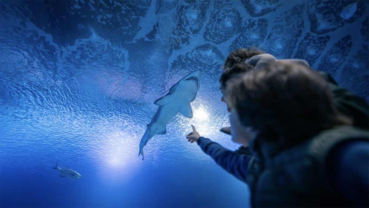 billet aquarium valencia
