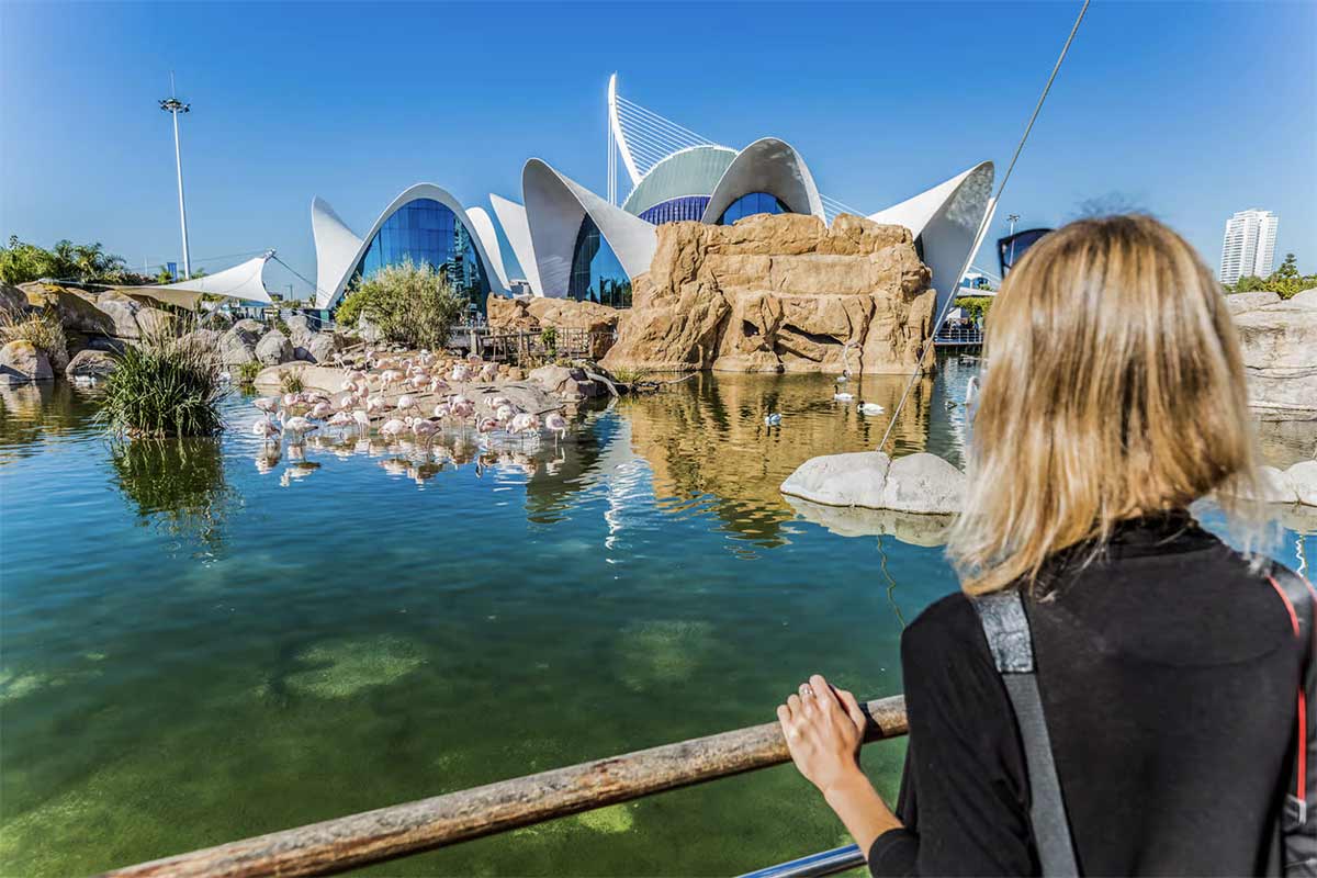 billet aquarium valencia