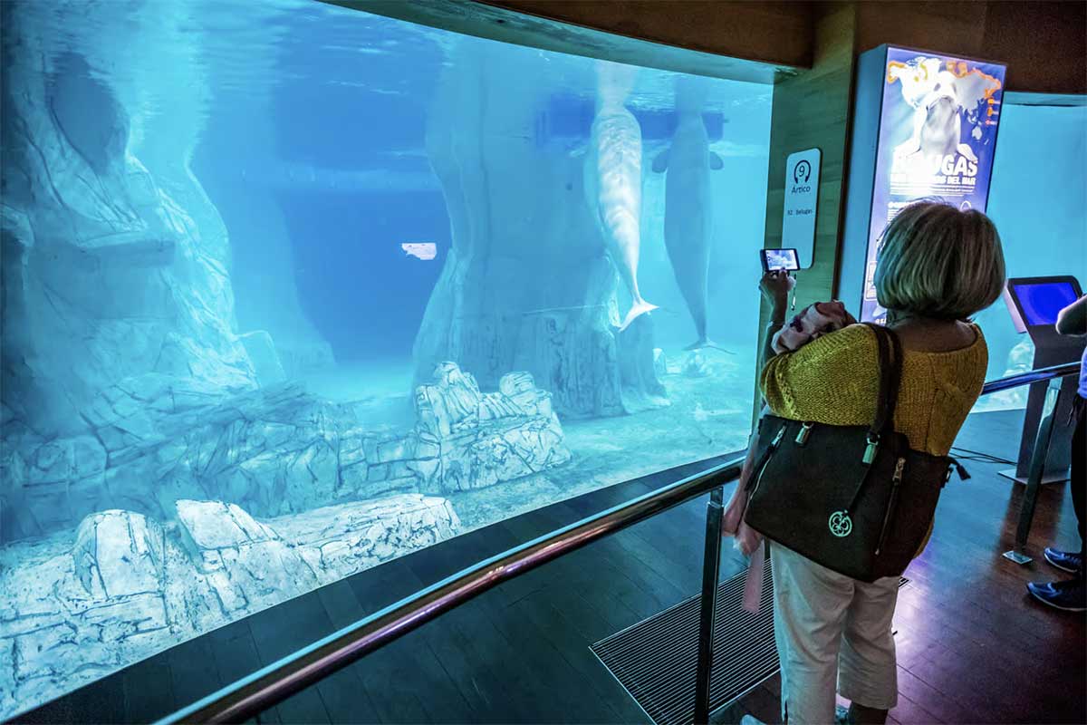 billet aquarium valencia
