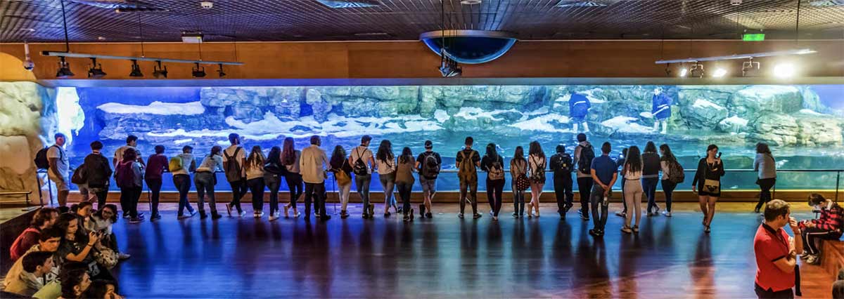 billet aquarium valencia