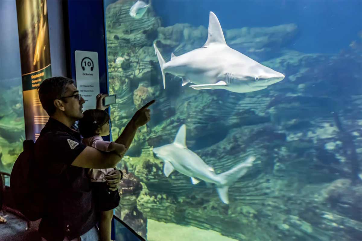 billet aquarium valencia