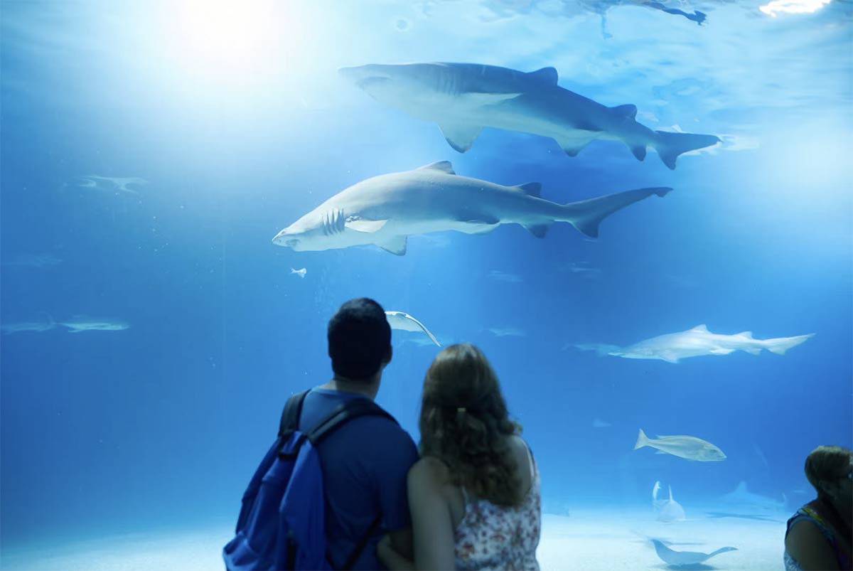billet aquarium valencia