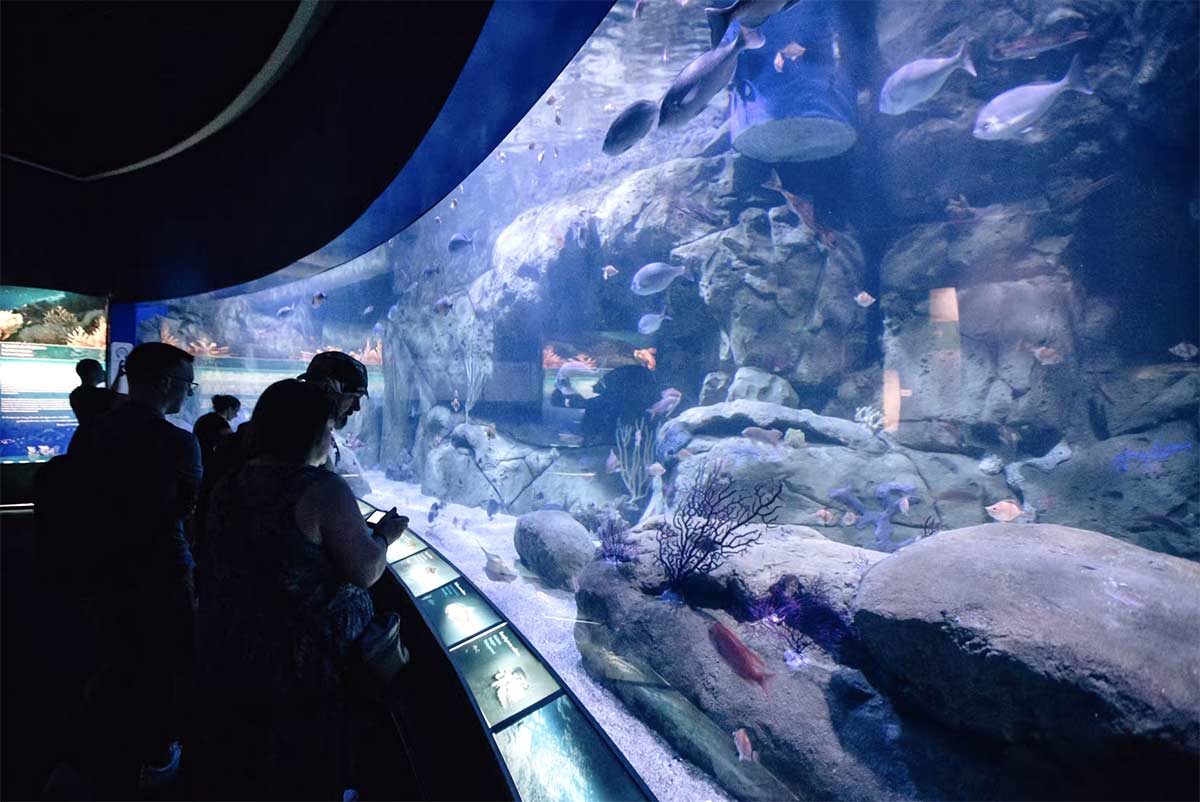 billet aquarium valencia