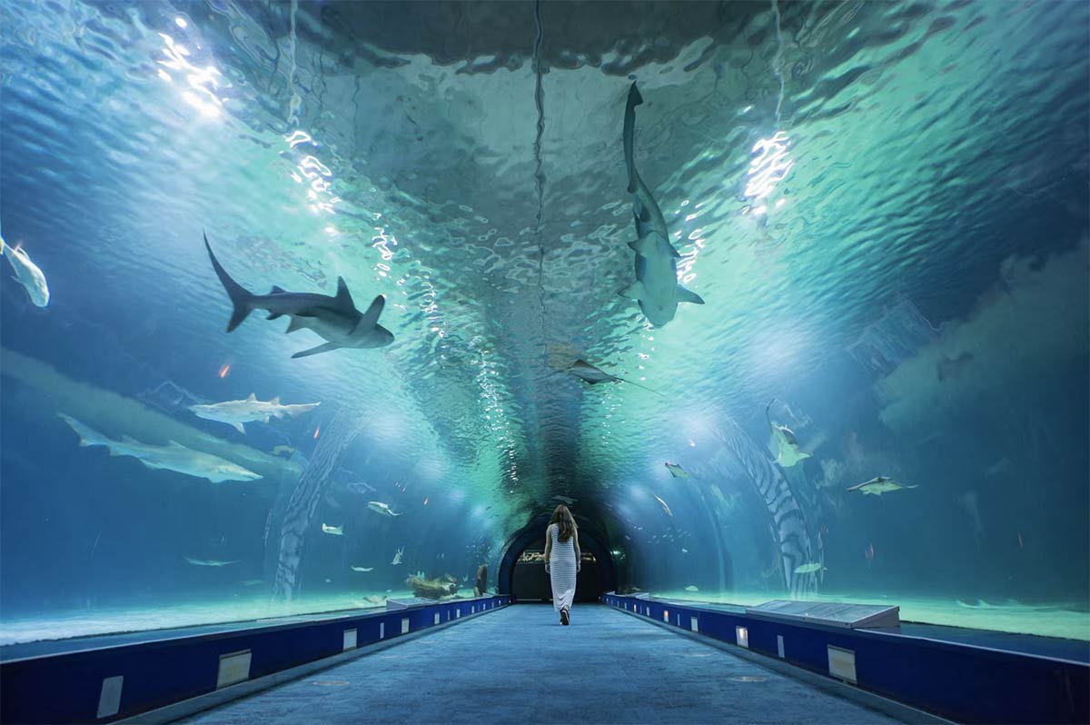 billet aquarium valencia